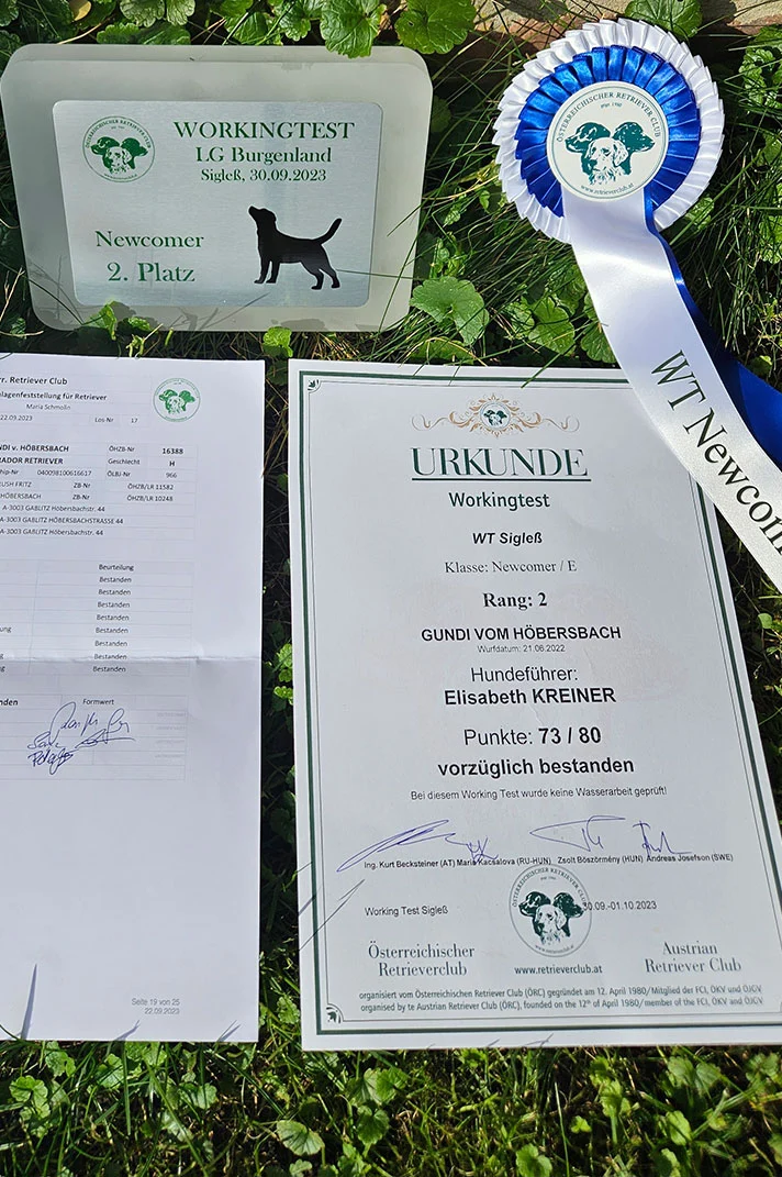 labrador-vom-hoebersbach-gundi-2-platz-wt-singles-1
